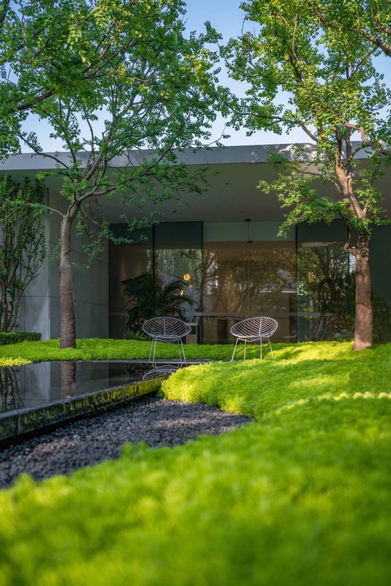 5種適合院子裡種的鋪地植物，種出來比草坪還好看