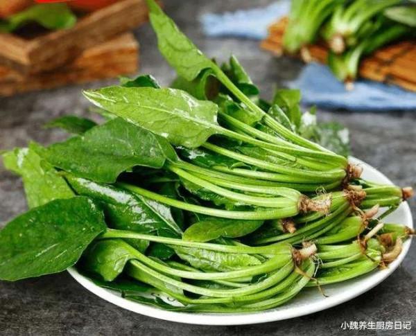 哪幾種食物最有營養？一共有九種｜養生篇
