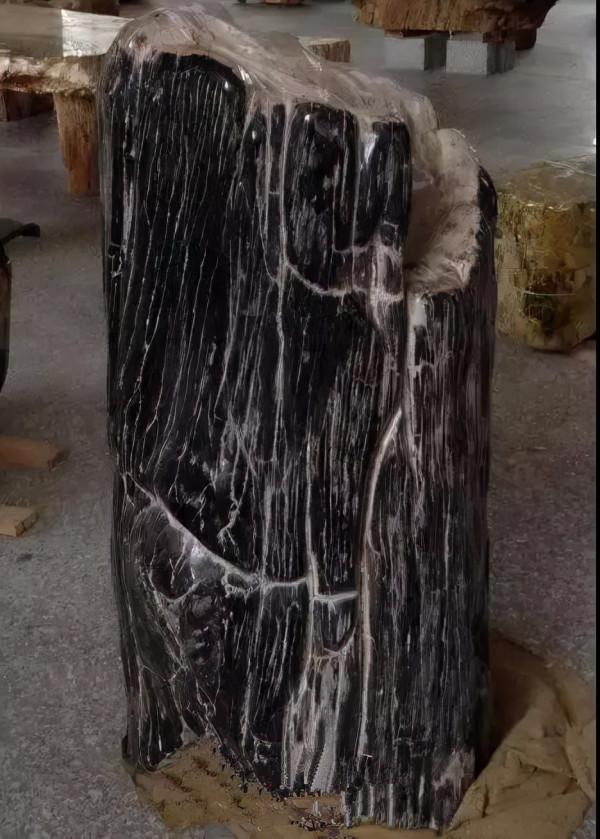 木化石，億萬年前的遺世孤品