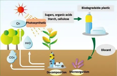 可降解塑膠的前世、今生和來世（中）：可降解材料的鏡花緣