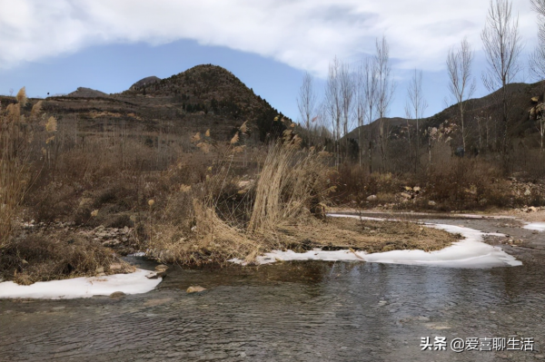 今日水離日，俗語說：&quot;離日食一寶，開春猛如豹&quot;，知道是什麼寶嗎
