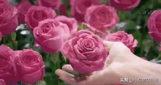 散文:活著,賴在歲月裡別走 散文:活著,賴在歲月裡別走