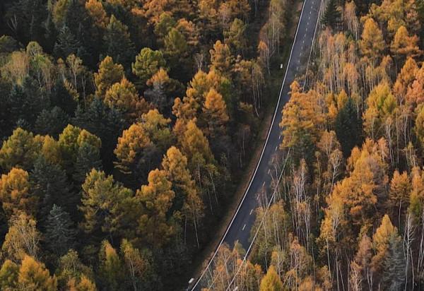 全國最美秋色即將陸續上線,你準備好去哪兒獵豔了嗎? 全國最美秋色即將陸續上線,你準備好去哪兒獵豔了嗎?