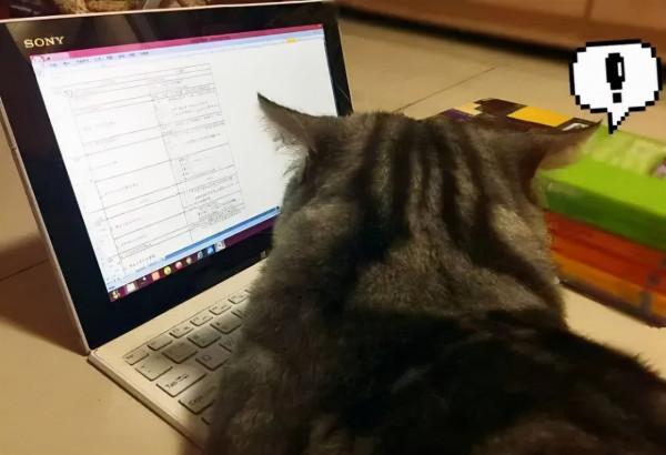 一入採購深似海,從此週末是路人 一入採購深似海,從此週末是路人