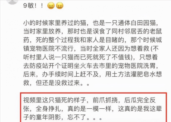 《當家主母》“喵咪事件”愈演愈烈,還有更殘忍的,都停止吧 《當家主母》“喵咪事件”愈演愈烈,還有更殘忍的,都停止吧