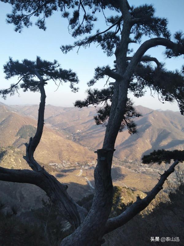 冬至驢行泰山之黃石崖，老平臺，映霞峰，桃花峪東西穿越