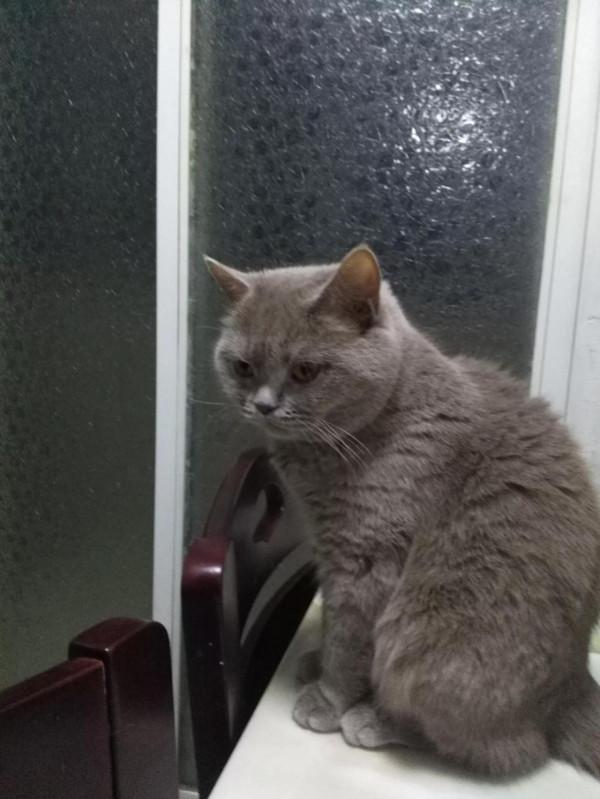 韭菜花,放幾年都不壞的方法 韭菜花,放幾年都不壞的方法