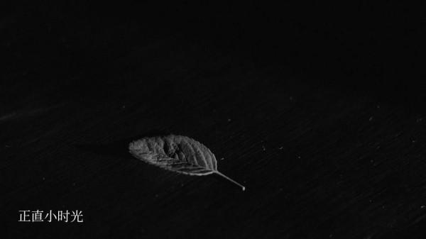 透過衣服顏色看人品 透過衣服顏色看人品