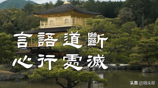 宇宙是個生物體？當科學家做了一個實驗後，細思極恐的問題出現了