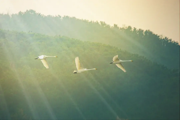 冬天必去的9個旅行地，背上心愛的相機，挑一個，現在就出發？