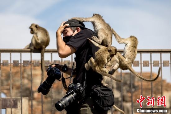 神奇動物在哪裡?反正不在魔法世界 神奇動物在哪裡?反正不在魔法世界