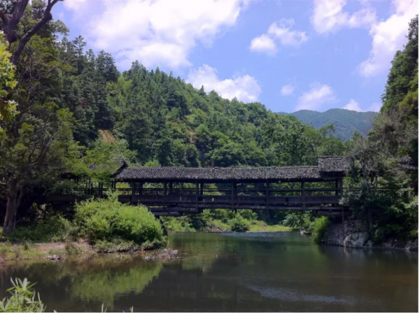 禮失而求諸野（二）：鄉村古禮的衰頹與復甦