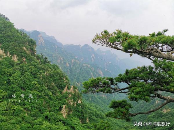 河南5個“空調”縣城，自帶涼風清爽無比，景色一流適合自駕遊