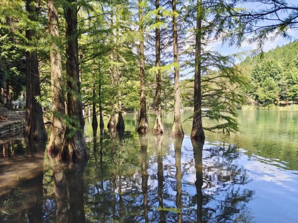 四明山國家森林公園 四明山國家森林公園