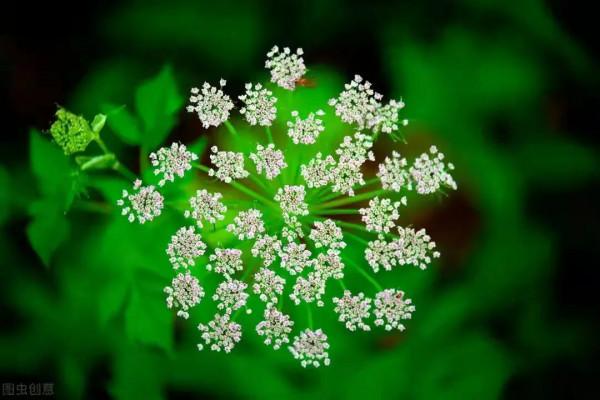 55歲阿姨：那時候連我做的飯都不吃的人，年老了卻離不開我