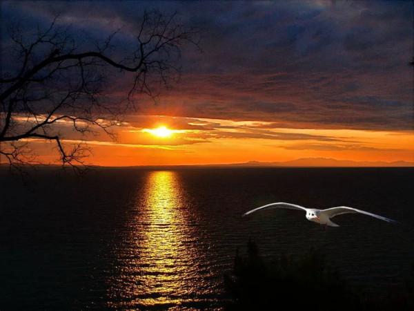 海洋的景色，真美