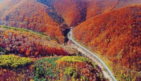 開過，還想再開的中國公路