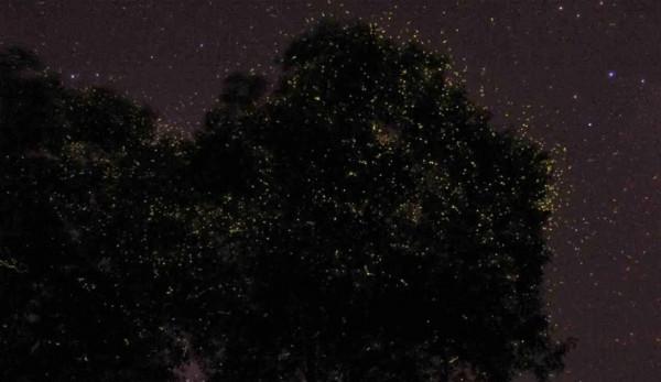 既然連死都不怕了,不如在死之前看看這個世界 既然連死都不怕了,不如在死之前看看這個世界