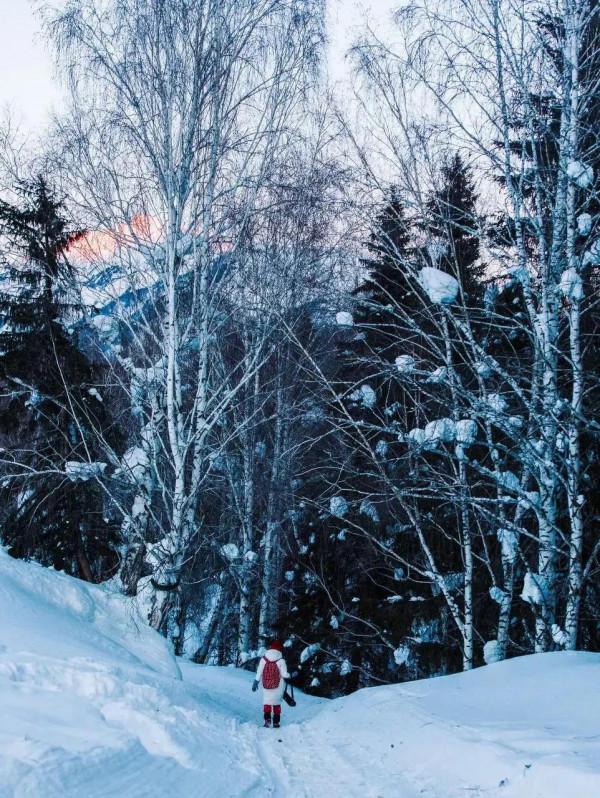 北疆—飄搖中的夢境