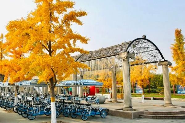 【FENG娛】速看!世界花卉大觀園裡有什麼?細數那些藏不住的精彩! 【FENG娛】速看!世界花卉大觀園裡有什麼?細數那些藏不住的精彩!