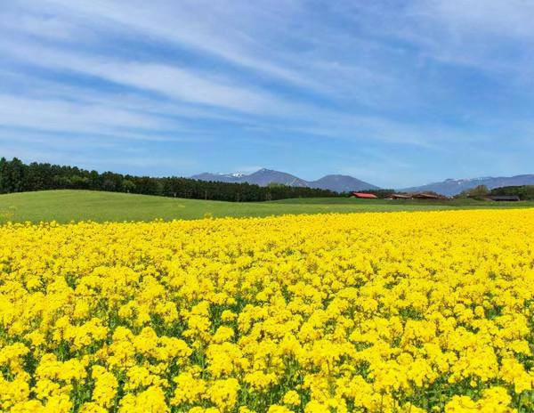 人到中年,我有點怕!(心酸) 人到中年,我有點怕!(心酸)