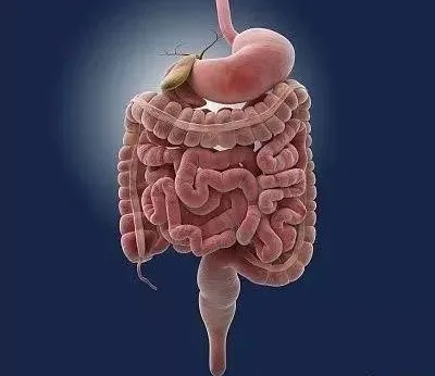 這樣的大便，可能預示著大腸癌上身