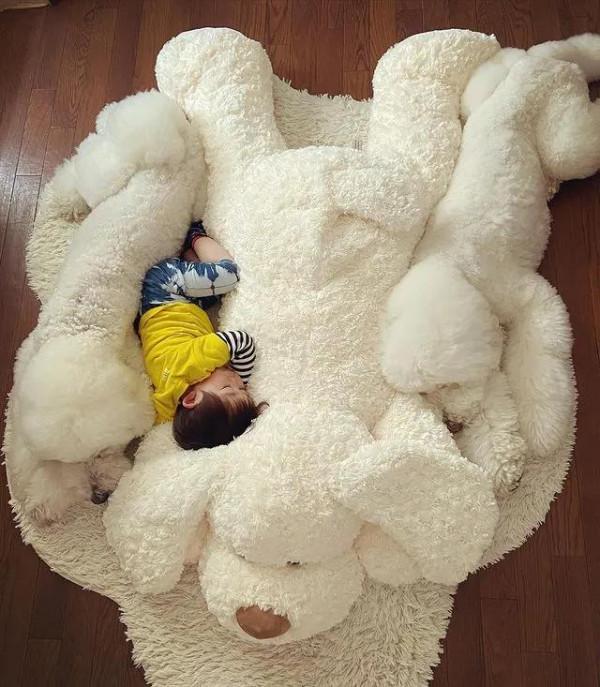 日本奶奶分享小孫女和三隻大狗狗的日常，治癒了56萬+網友…