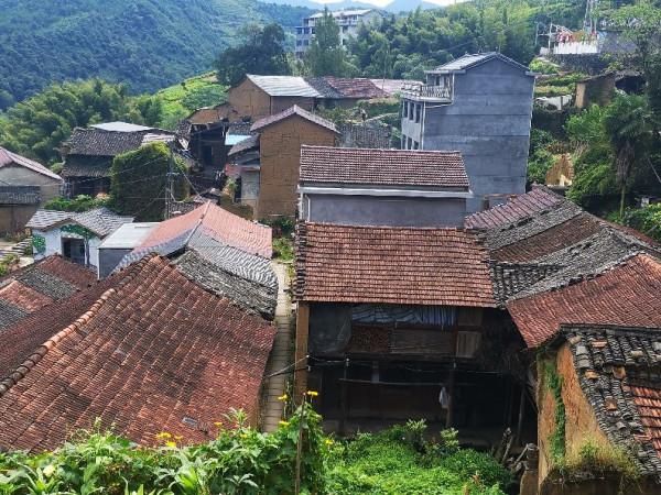 在深山的更深處，浙江農村都是別墅嗎？一一老婆的孃家