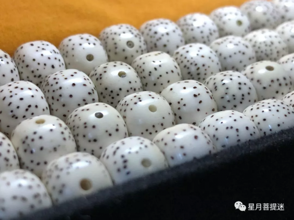 星月菩提老刀的盤玩點在哪裡 星月菩提老刀的盤玩點在哪裡