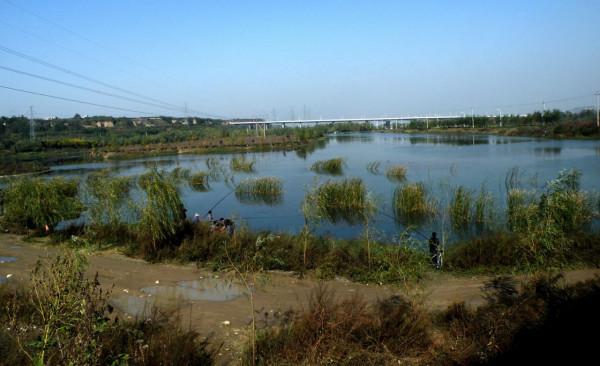 水草中藏著那麼多條魚，學會這三種方法，我就不信魚兒不咬鉤