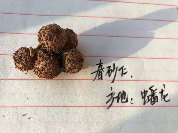 如果你正在吃補品,可要長點心了 如果你正在吃補品,可要長點心了