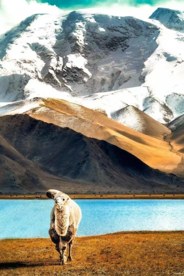 預測！2022必火的自駕旅行清單！先收藏