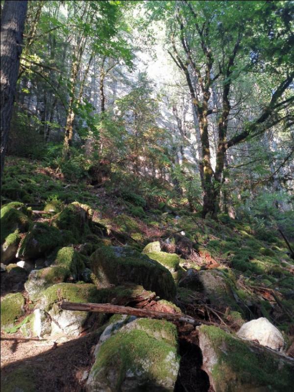 關於二手店和一副麻將 關於二手店和一副麻將