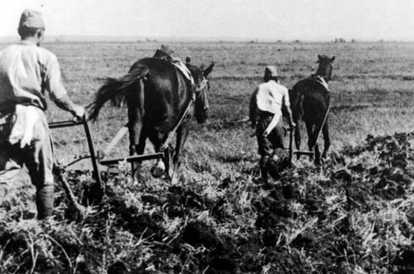 蘇聯紅軍7天解放中國東北，殲滅70萬關東軍，日軍為何不堪一擊？