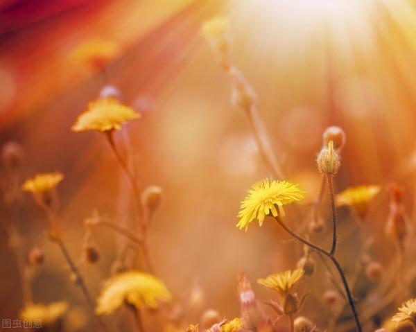 吳亦凡事件的背後