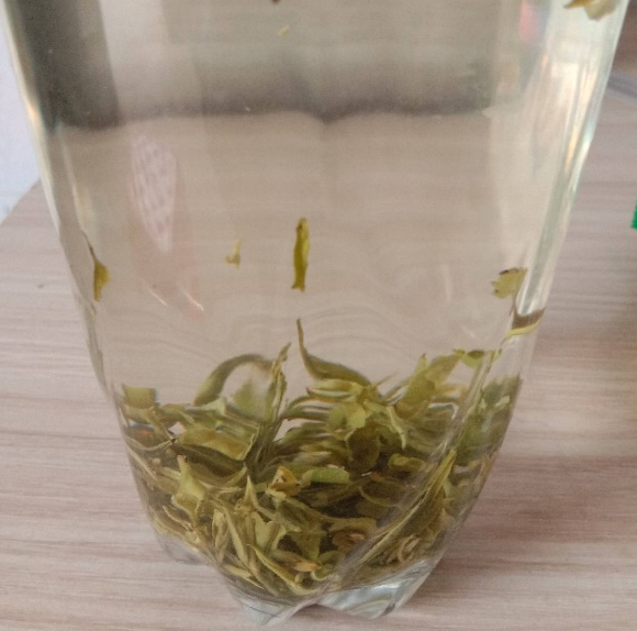 自己做花肥，不花一分錢，肥料更好用，營養還齊全