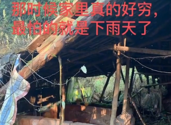 黃琴：因辭職回家照顧奶奶走紅，有車有房還領低保，賣慘第一人？