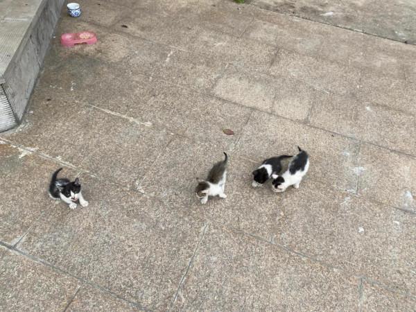 香山景區半日遊