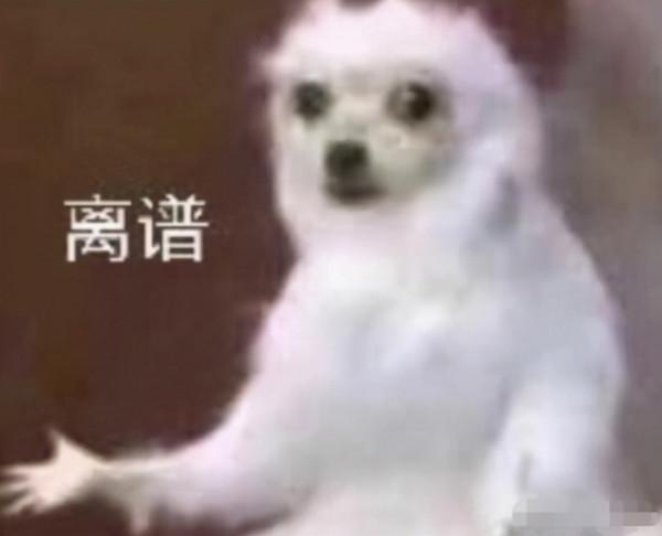 下雨就癱瘓的非洲國家，計程車也賣“掛票”，300公里開三天