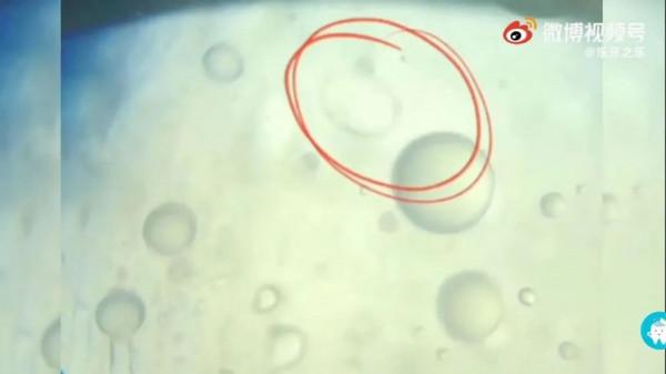 在不注意,你肚子裡就全是蟲了…… 在不注意,你肚子裡就全是蟲了……