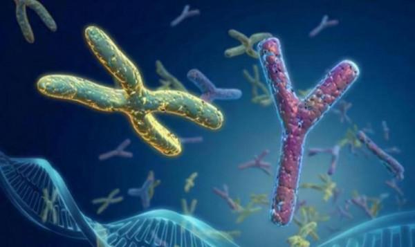 人類性別只有男和女？並不止2種，實際情況重新整理你的認知