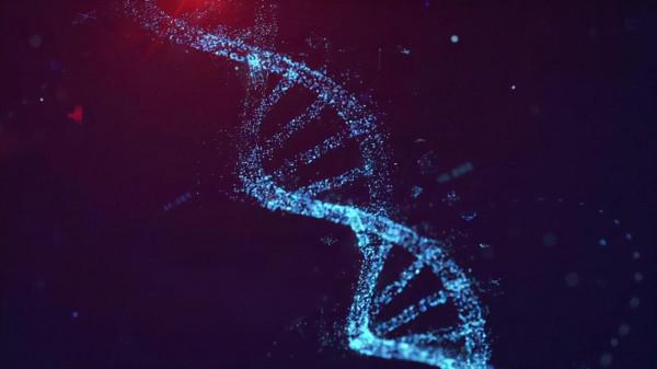 人腦由粒子構成，粒子遵循物理定律，人的意識是被決定還是自由？