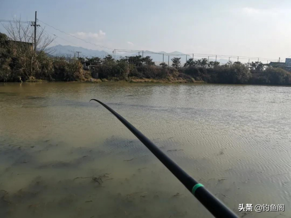 別怪天氣不好，是你選錯了位置！牢記春季出釣最重要的2件事