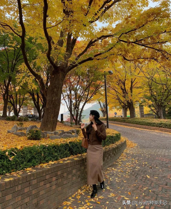 裙子裡還在穿“打底褲”嗎？現在流行這樣穿，美炸了