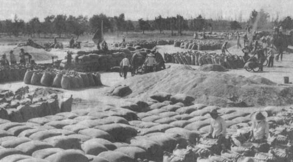 1958年,部隊領導去東北學習,看見糧倉管理員後哭喊：你居然還活著