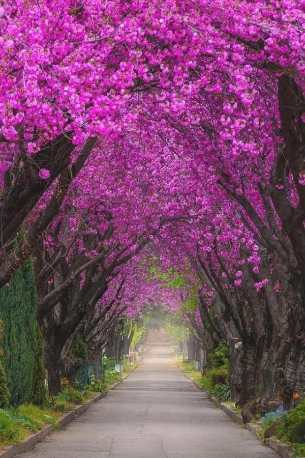 世界很大，風景很美，而你卻不是那個想走就走的人