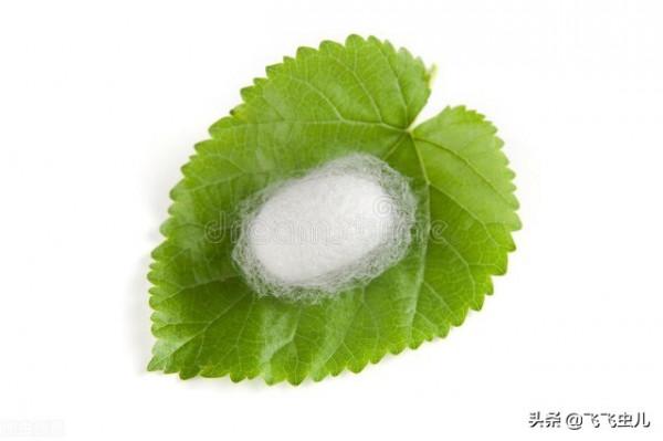 接受自己的不完美