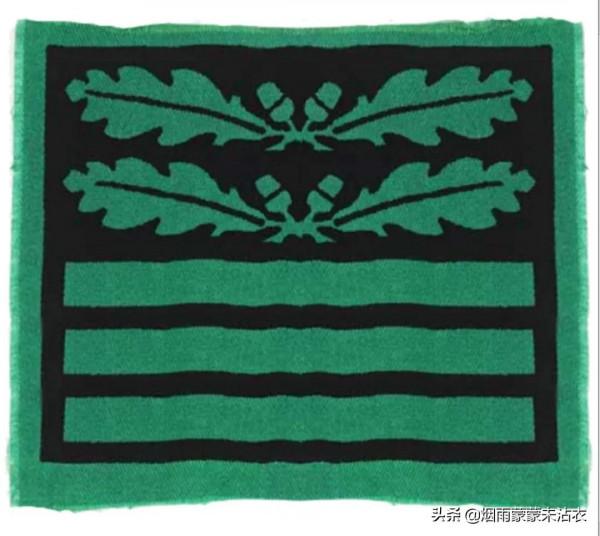 條條槓槓眼花繚亂,看看二戰德國黨衛軍迷彩軍銜是啥樣 條條槓槓眼花繚亂,看看二戰德國黨衛軍迷彩軍銜是啥樣