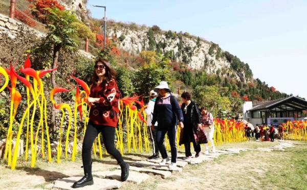 紅葉柿巖的成名金鑰