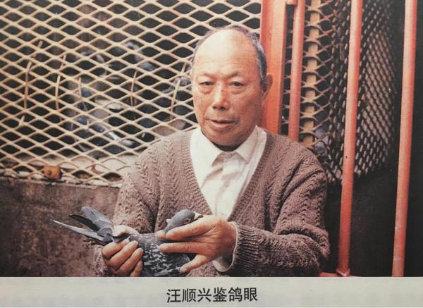 “純種”鴿的價值和育種公式的運用